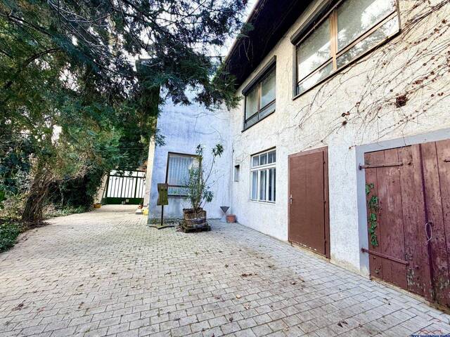 Immobilie in Mönchhof - attraktives großes Grundstück mit Sanierungsobjekt - auch für Neubau ideal - für Großfamilien und Anleger zum Spitzenpreis - Bild 0