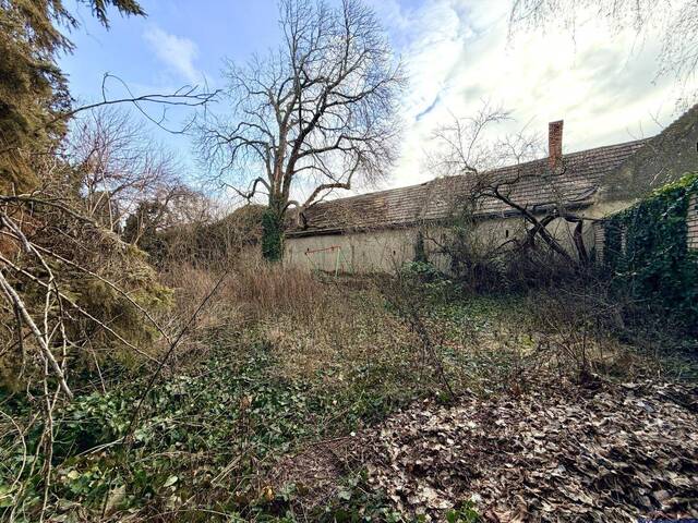 Immobilie in Mönchhof - attraktives großes Grundstück mit Sanierungsobjekt - auch für Neubau ideal - für Großfamilien und Anleger zum Spitzenpreis - Bild 2