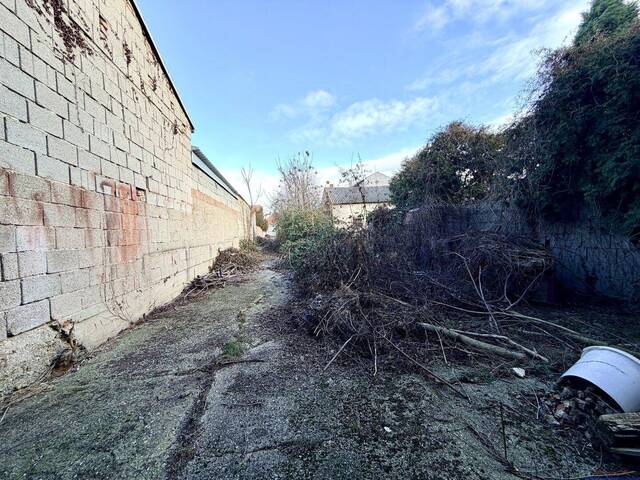 Immobilie in Mönchhof - attraktives großes Grundstück mit Sanierungsobjekt - auch für Neubau ideal - für Großfamilien und Anleger zum Spitzenpreis - Bild 4