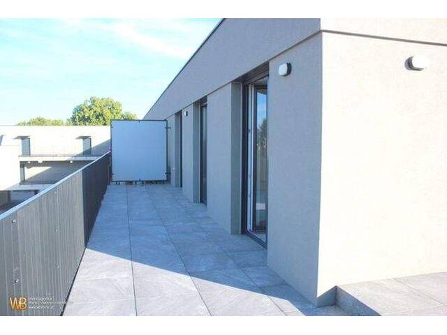 Immobilie in Marchegg - BESTER PREIS !! wunderschöne 4 Zimmer Wohnung mit Terrasse - Bild 4