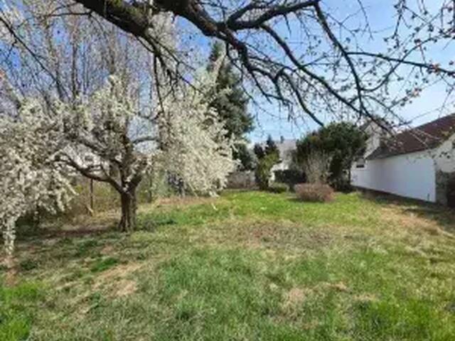 Immobilie in Schattendorf - Top-Haus mit riesigem Garten in Schattendorf (Provisionsfrei) - Bild 3