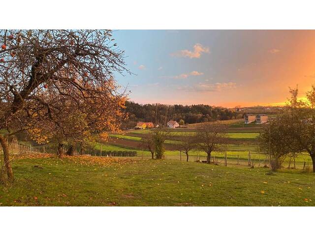 Immobilie in Neudauberg - Traumhafter Vierkanthof (privat) (Provisionsfrei) - Bild 2