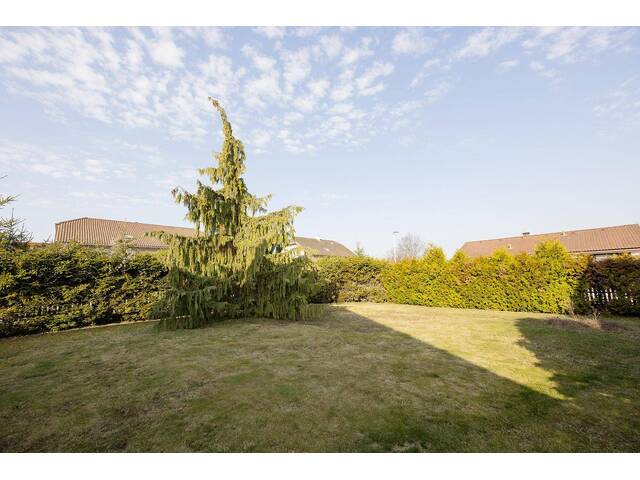 Immobilie in Günselsdorf - Schönes Einfamilienhaus in einer ruhigen Siedlung - Bild 4