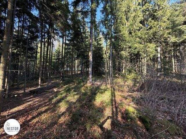 Immobilie in Alt-Nagelberg - Exklusiver Fischteich | Einfamilienhaus-Rohbau mit riesigem Grund in absoluter Ruhelage | Grünblick - Bild 1