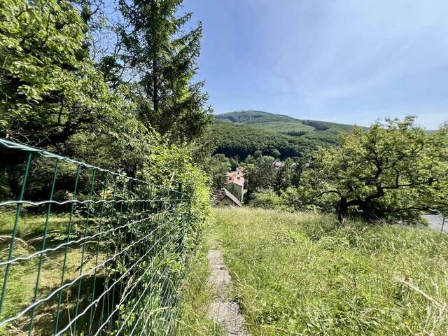Immobilie in Weidling - EINFAMILIENHAUS ZUM MODERNISIEREN IN HANGLAGE - Bild 0