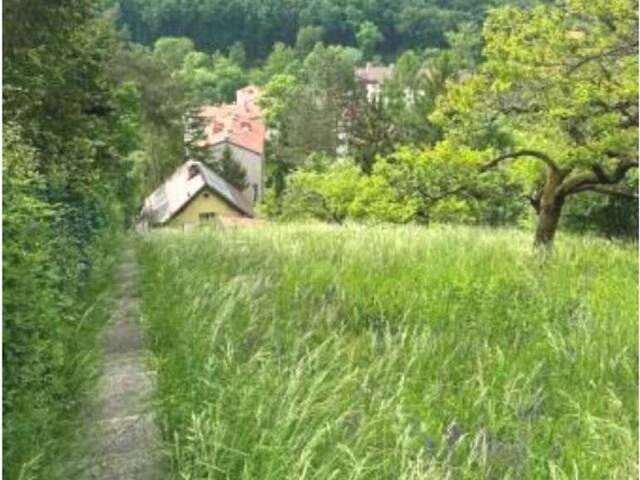 Immobilie in Weidling - EINFAMILIENHAUS ZUM MODERNISIEREN IN HANGLAGE - Bild 3