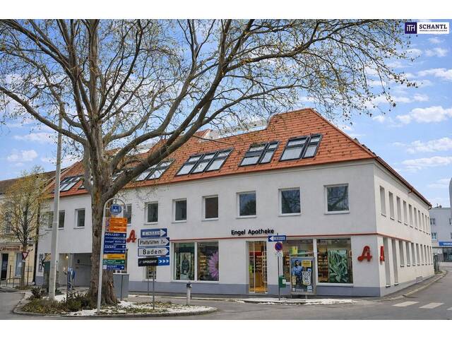 Immobilie in Traiskirchen - *Frühjahrsaktion* Premium-Wohnen über den Dächern: Stilvolle Neubauwohnung mit Masterbedroom, Ankleide, Bad mit Fenster und großer Dachterrasse! - Bild 4