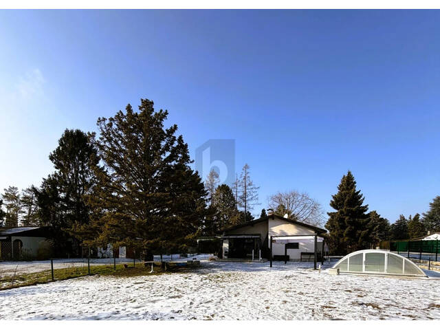 Immobilie in Hornstein - BUNGALOW MIT GROSSEM GARTEN UND POOL - RUHELAGE - Bild 1