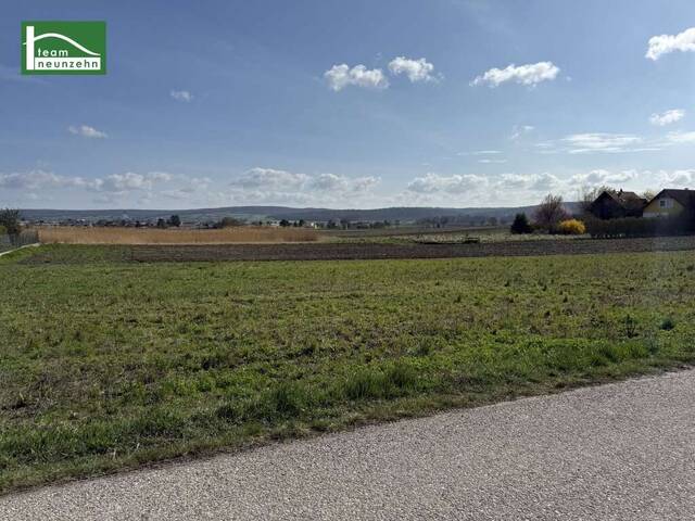 Immobilie in Tresdorf - Modernes Einfamilienhaus in ruhiger Lage – hochwertiger Neubau in Tresdorf - Bild 1