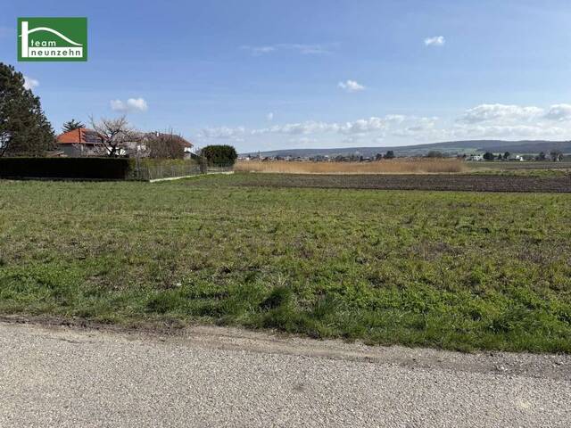 Immobilie in Tresdorf - Modernes Einfamilienhaus in ruhiger Lage – hochwertiger Neubau in Tresdorf - Bild 2