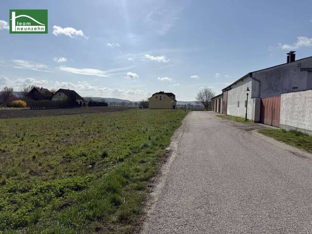 Immobilie in Tresdorf - Modernes Einfamilienhaus in ruhiger Lage – hochwertiger Neubau in Tresdorf - Bild 3