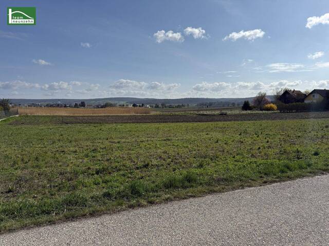 Immobilie in Tresdorf - Modernes Doppelhaus in Tresdorf, 5 Zimmer, Garten, Terrasse, Erstbezug, 549.000 € - Bild 1