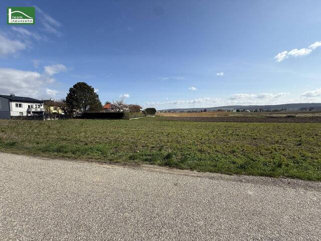 Immobilie in Tresdorf - Modernes Doppelhaus in Tresdorf, 5 Zimmer, Garten, Terrasse, Erstbezug, 549.000 € - Bild 4