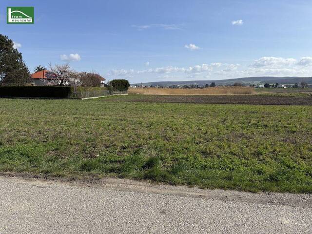 Immobilie in Tresdorf - Modernes Einfamilienhaus in ruhiger Lage – hochwertiger Neubau in Tresdorf - Bild 2