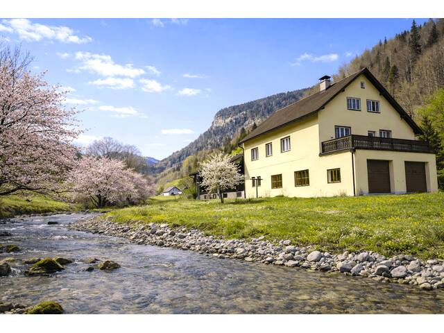 Immobilie in Graben - Natur, Fluss, Berge - Wildromantisches Refugium in Naßwald - Bild 2