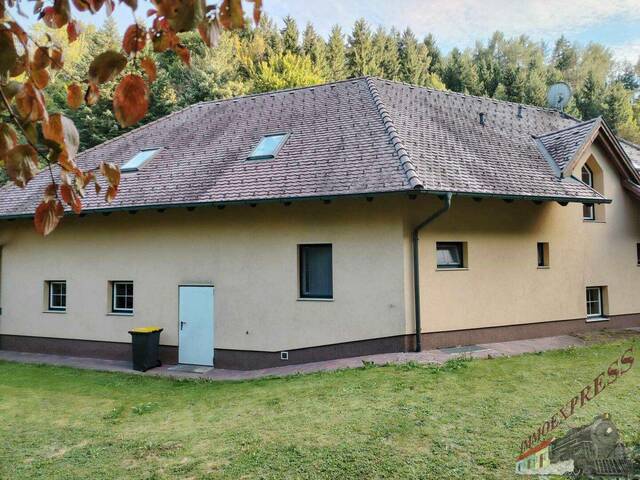 Immobilie in Thenneberg - Tolle Villa mit neuer PV-Anlage bietet viel Platz und ruhige, grüne Umgebung – nur 38 min zur Stadtgrenze Wien! - Bild 4