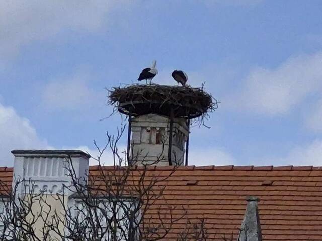 Immobilie in Lutzmannsburg - Wohnhaus mit Altbestand und Scheune - Bild 1