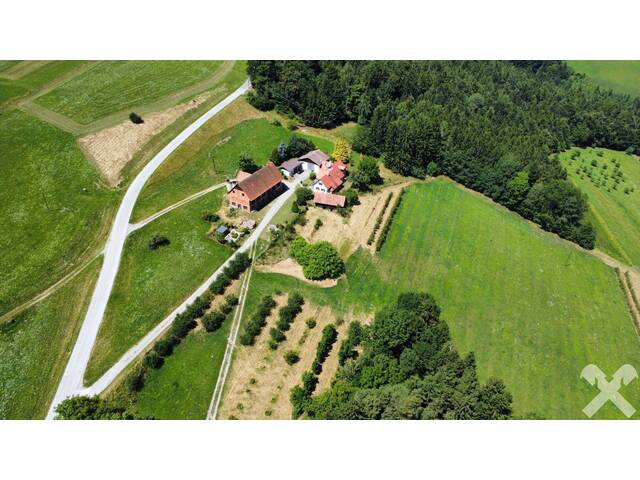 Immobilie in Kumberg - Idyllische alte Apfelplantage mit Wald, Wohnhaus, Kellerstöckl und Stallungen in Kumberg b. Graz (Kopie 24.03.2026 18:23:58) - Bild 4