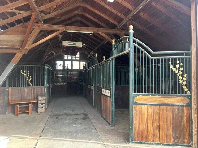 Immobilie in Hochneukirchen - Exklusiver Pferdehof mit 2 Wohneinheiten, Reithalle & großem Grund in Hochneukirchen - Bild 0