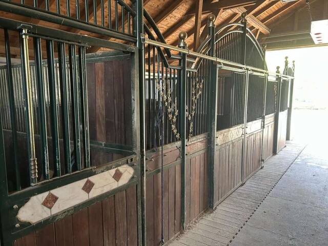 Immobilie in Hochneukirchen - Exklusiver Pferdehof mit 2 Wohneinheiten, Reithalle & großem Grund in Hochneukirchen - Bild 1