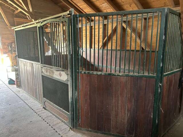 Immobilie in Hochneukirchen - Exklusiver Pferdehof mit 2 Wohneinheiten, Reithalle & großem Grund in Hochneukirchen - Bild 2