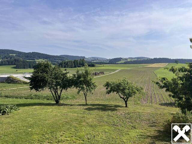 Immobilie in Nebelberg - Sofort bezugsbereites, großzügiges Wohnhaus mit Fernblick und großem Garten - Bild 3