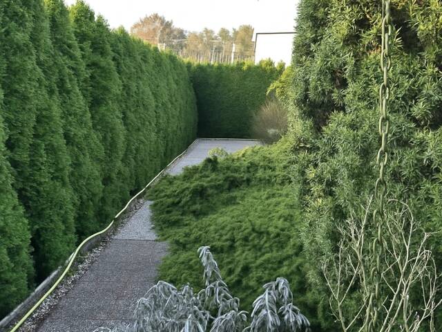 Immobilie in Gänserndorf - Einfamilienhaus in toller Lage nahe Wien - Bild 3