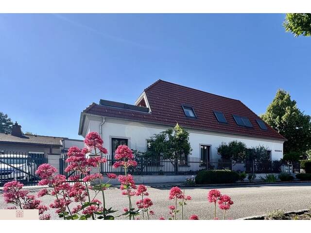 Immobilie in Möllersdorf - NEUER PREIS - Terrassenhaus mit Erdwärmeheizung und Einliegerwohnung - Möllersdorf - Bild 3