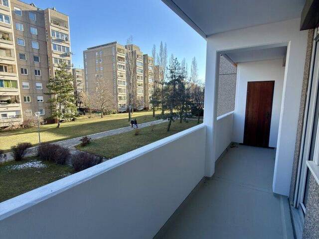 Immobilie in Wiener Neudorf - SEHR GEPFLEGTE UND HELLE CA. 72m² GROSSE (inkl. der Loggia) 2-ZIMMER-WOHNUNG MIT LOGGIA & LIFT IN WIENER NEUDORF ZU KAUFEN! - Bild 0