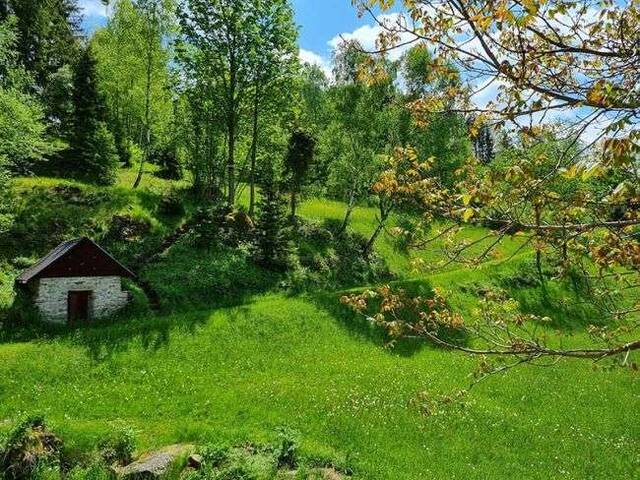 Immobilie in St. Martin - Traumhaftes Naturdomizil im Waldviertel - Bild 4