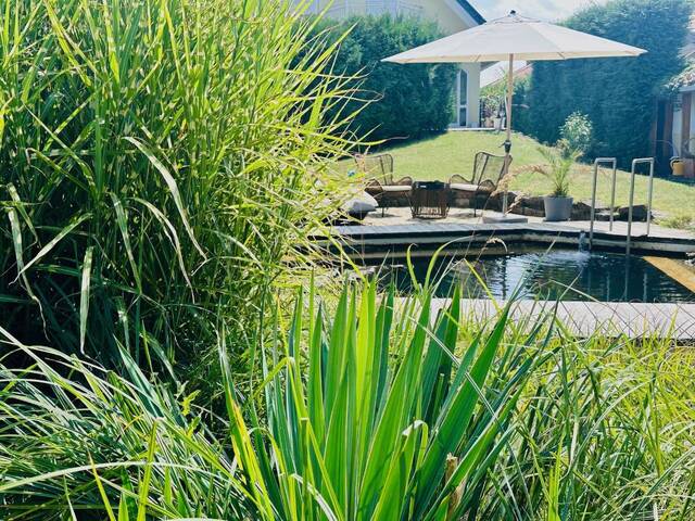 Immobilie in Siegendorf - Wunderschönes Familiendomizil mit viel Privatsphäre, Schwimmteich, Nebengebäude für Business / Praxis / Wohnen, Luftwärmepumpe und PV Anlage - Bild 1