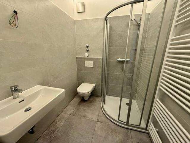 Immobilie in Krems an der Donau - Neu sanierte 2-Zimmer-Wohnung in Krems - mit Stromattest, ideal für Singles oder Anleger! - Bild 3