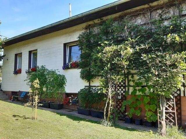 Immobilie in St. Gotthard im Mühlkreis - Charmantes Einfamilienhaus in idyllischer Ruhelage von St. Gotthard im Mühlkreis - Bild 0