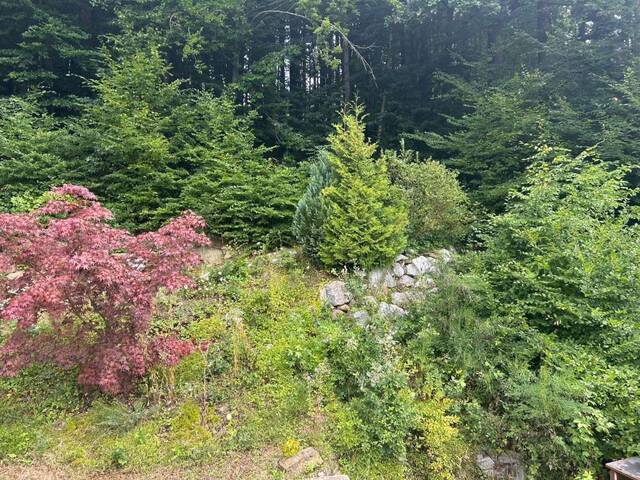 Immobilie in Rabenstein an der Pielach - Gemütliches Landhaus mit Einliegerwohnung in erhöhter Waldrandlage - Sehr ruhig gelegen! - Bild 3