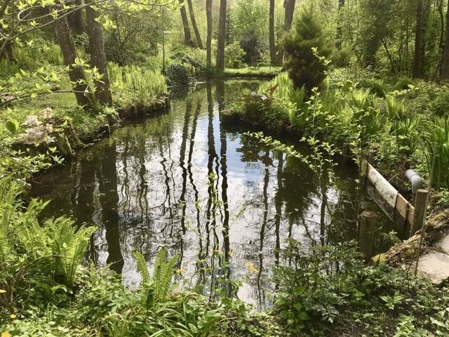 Immobilie in Haag - IDYLLISCHES WOHNEN IN HAAG (OÖ) - Bild 2