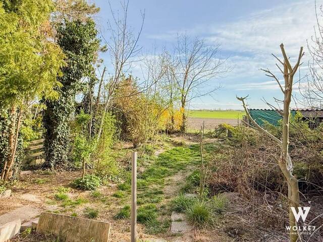 Immobilie in Velm - Ihr neues Zuhause mit unverbautem Grünblick – Ruhe, Platz und Lebensqualität vereint - Bild 3