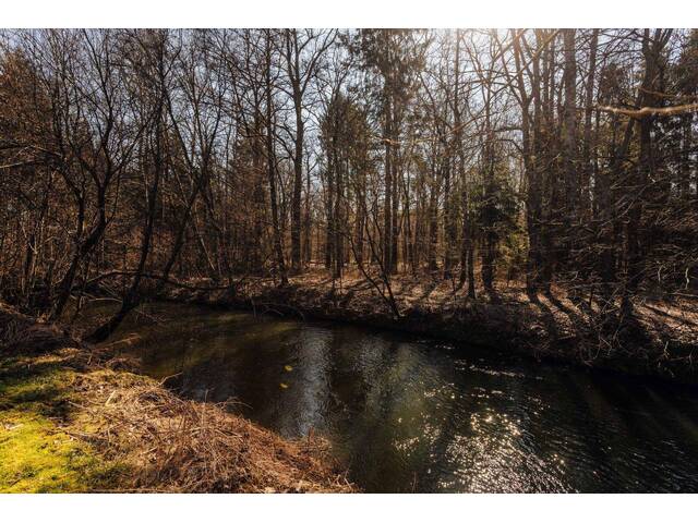 Immobilie in Ragnitz - Wohnhaus mit knapp 1000m² Grund in absoluter Ruhelage – 20min von Graz entfernt: Ödt bei Lebring! - Bild 3