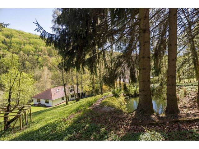 Immobilie in Weidlingbach - Exklusives Einfamilienhaus auf 3.710 m² Grund in Weidlingbach! Wärmepumpe! PV-Anlage! - Bild 1