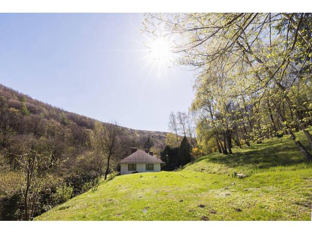 Immobilie in Weidlingbach - Exklusives Einfamilienhaus auf 3.710 m² Grund in Weidlingbach! Wärmepumpe! PV-Anlage! - Bild 2