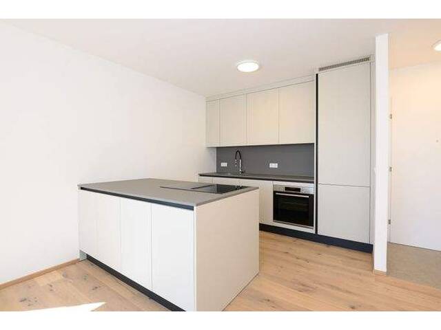 Immobilie in Guntramsdorf - Exklusive 3-Zimmer-Dachgeschoßwohnung ohne Dachschrägen mit Balkon in Zentrumslage - Bild 1