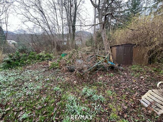 Immobilie in Weißenbach - Sanierungsbedürftiges Haus auf großem Grundstück! Erwecken Sie es aus dem Dornröschenschlaf! - Bild 2