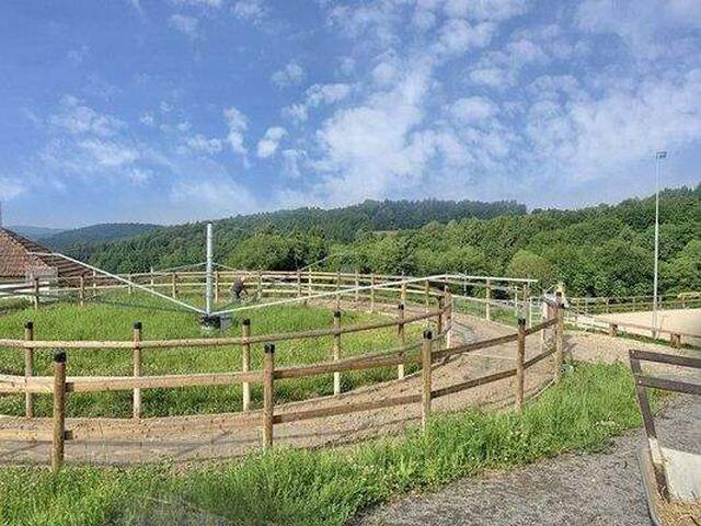 Immobilie in Edelsbach bei Feldbach - Österreich, Südost-Steiermark, nahe Ebersbach - Wohnung mit Pferdestall - Bild 3