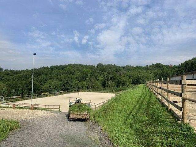 Immobilie in Edelsbach bei Feldbach - Österreich, Südost-Steiermark, nahe Ebersbach - Wohnung mit Pferdestall - Bild 4