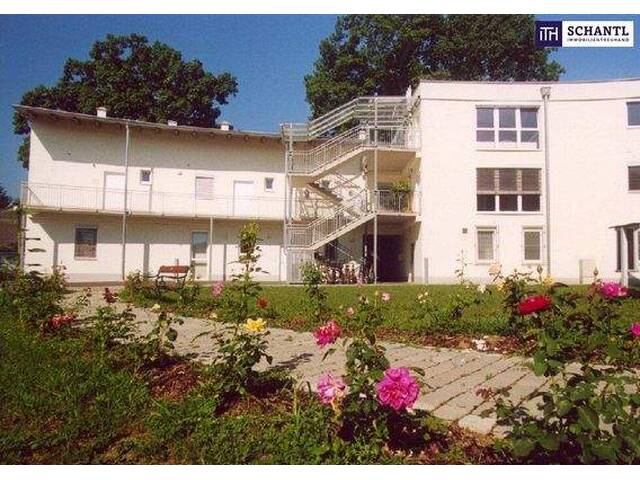 Immobilie in Wagna - ++ANLEGER AUFGEPASST++ 4 WOHNUNGEN in TOP LAGE WAGNA++ NNF 336 m²++Befristet Vermietet mit hohen POTENZIAL++ - Bild 0
