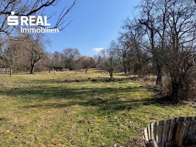 Immobilie in Bad Tatzmannsdorf - Seltene Gelegenheit: Großes Haus mit 3.100 m² Grundstück in Bad Tatzmannsdorf - Bild 0