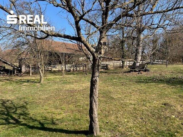 Immobilie in Bad Tatzmannsdorf - Seltene Gelegenheit: Großes Haus mit 3.100 m² Grundstück in Bad Tatzmannsdorf - Bild 1