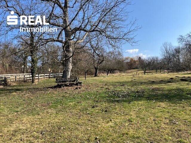 Immobilie in Bad Tatzmannsdorf - Seltene Gelegenheit: Großes Haus mit 3.100 m² Grundstück in Bad Tatzmannsdorf - Bild 2