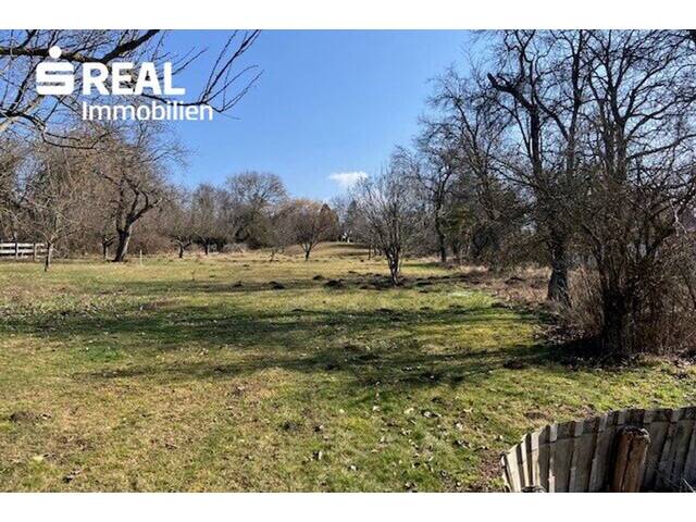 Immobilie in Bad Tatzmannsdorf - Seltene Gelegenheit: Großes Haus mit 3.100 m² Grundstück in Bad Tatzmannsdorf - Bild 3