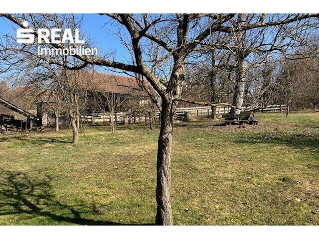 Immobilie in Bad Tatzmannsdorf - Seltene Gelegenheit: Großes Haus mit 3.100 m² Grundstück in Bad Tatzmannsdorf - Bild 4