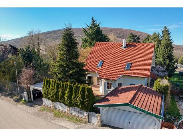 Immobilie in Wolfsgraben - Einladendes Haus im Grünen! Großer Grund, Südterrasse, Keller und Doppelgarage - Bild 0